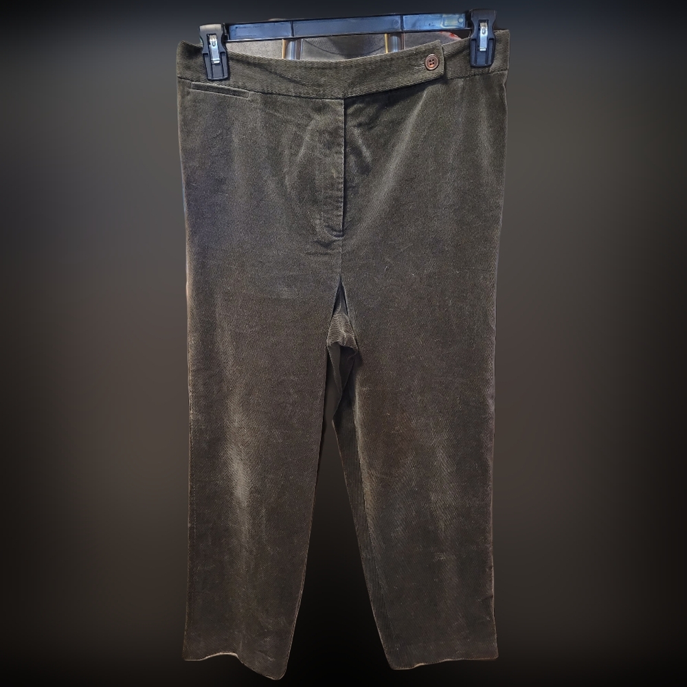 27-Talbots Velvet/corduroy pants
